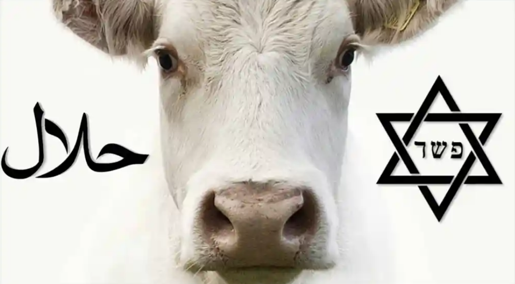 Sacred Sunday: Exploring the Spiritual and Ethical Significance of Halal and Kosher Dietary Laws